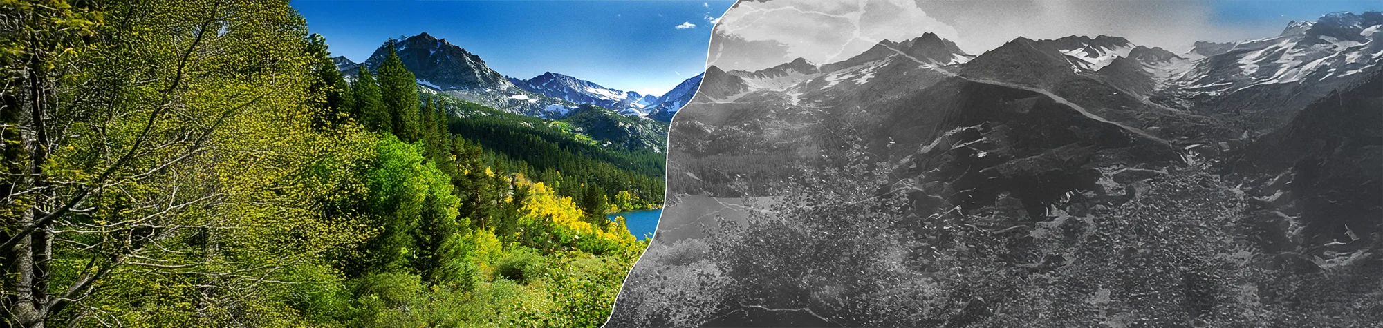 A wide panoramic banner showing a before and after comparison of a vintage portrait being aged with a cracked and distressed photo texture in Photoshop.