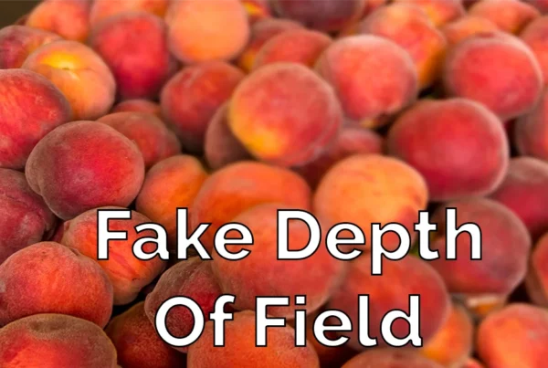 Photoshop tutorial thumbnail featuring the text "Fake Depth of Field" over a photo of a flower with a highly exaggerated, soft-focus background.