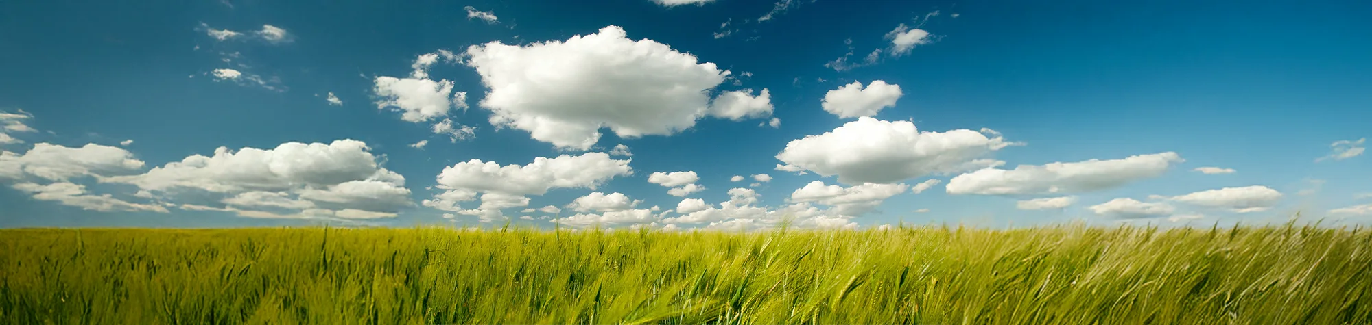 A wide panoramic banner showing a before and after comparison of a clear blue sky being enhanced with fluffy white clouds in Photoshop.