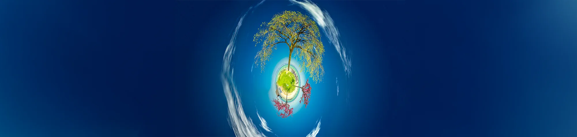 Panoramic view of a tiny planet effect created in Photoshop featuring a large tree on a small globe against a deep blue sky.