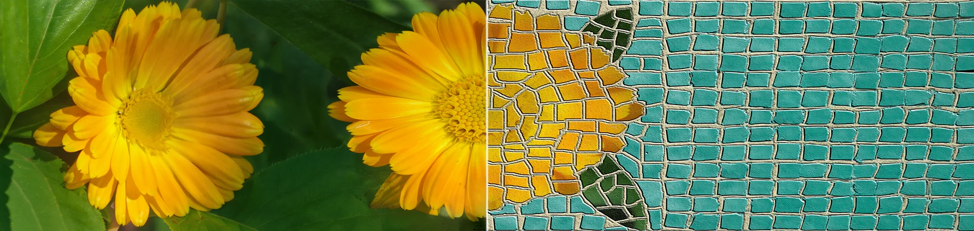 A wide panoramic banner showing a high-resolution yellow flower transitioning into a creative mosaic effect with large, colorful square tiles in Photoshop.
